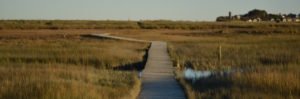 South Shore Trails