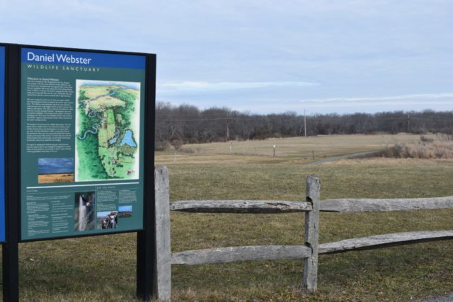 Daniel Webster Wildlife Sanctuary Marshfield