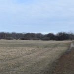Daniel Webster Estate