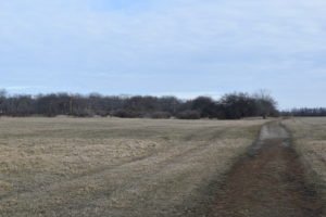 Daniel Webster Audubon Society Marshfield