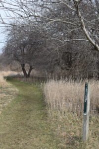 Daniel Webster Audubon Society Marshfield