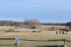 Daniel Webster Audubon Society Marshfield
