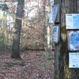 Nelson Memorial Forest