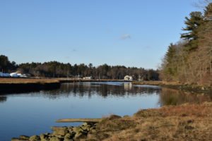 Nelson Forest Marshfield