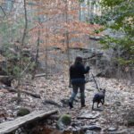 Nelson Memorial Forest