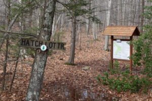 Hatch Lots Norwell
