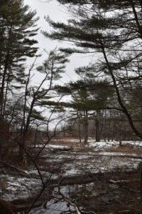 Cow Tent Hill Duxbury