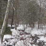 Norris Reservation