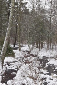 Norris Reservation Norwell Trustees