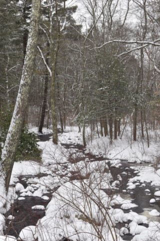 Norris Reservation Norwell Trustees
