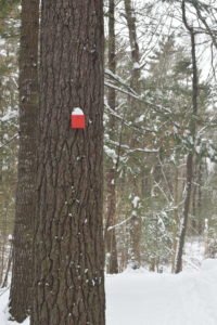 Norris Reservation Norwell Trustees