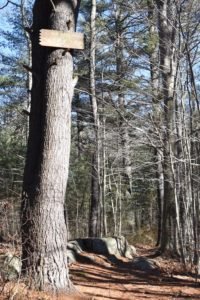 Wheelright Park Cohasset