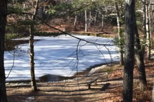 Wheelright Park Cohasset