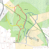 Cuffee Hill & Black Pond Bog