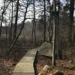 Canoe Club Preserve