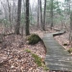 Canoe Club Preserve