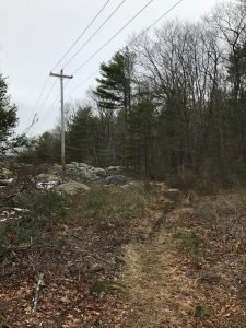 Pape Reservation Cohasset