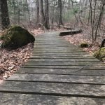 Canoe Club Preserve
