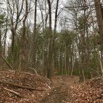 Pape Reservation