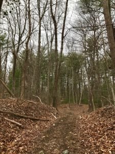 Pape Reservation Cohasset