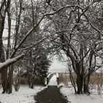 AJ Mceachern Memorial Trail