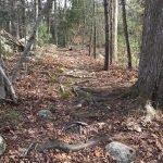 Canoe Club Preserve
