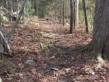 Canoe Club Preserve