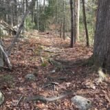 Canoe Club Preserve