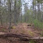 Pape Reservation