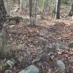 Canoe Club Preserve