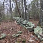 Pape Reservation