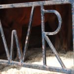 Weir River Farm