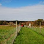 Weir River Farm