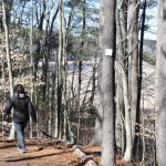 Jose Carreiro Woodland