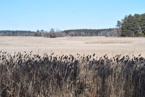 Two Mile Reservation Marshfield