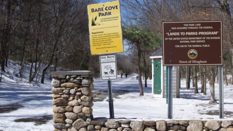 Dog-Friendly Trails