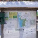 Bare Cove Park