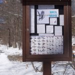Bare Cove Park