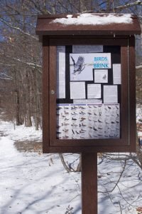 Bare Cove Park Hingham