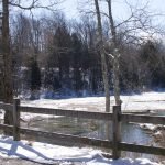 Bare Cove Park