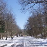 Bare Cove Park