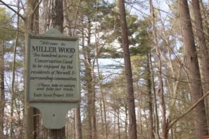 Miller Woods Norwell