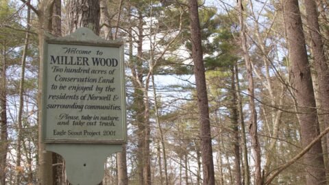 Easy Walks & Accessible Trails