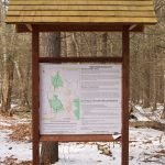 Miller Woods