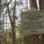 Miller Woods