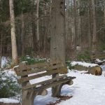 Miller Woods