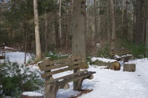 Miller Woods Norwell