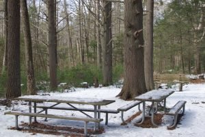 Miller Woods Norwell