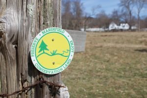 John Little Conservation Marshfield