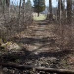 John Little Conservation Area